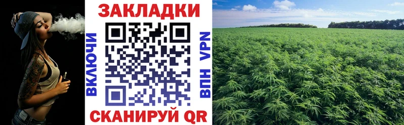 Купить наркотик аптеки Павловск ссылка на мегу маркетплейс  Мефедрон  Гашиш  Кокаин  А ПВП 