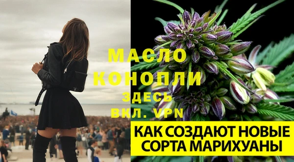 spice Кулебаки