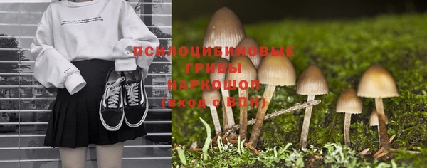 spice Кулебаки