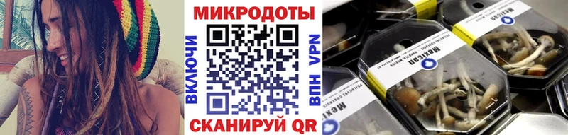 Псилоцибиновые грибы Psilocybe  Павловск 